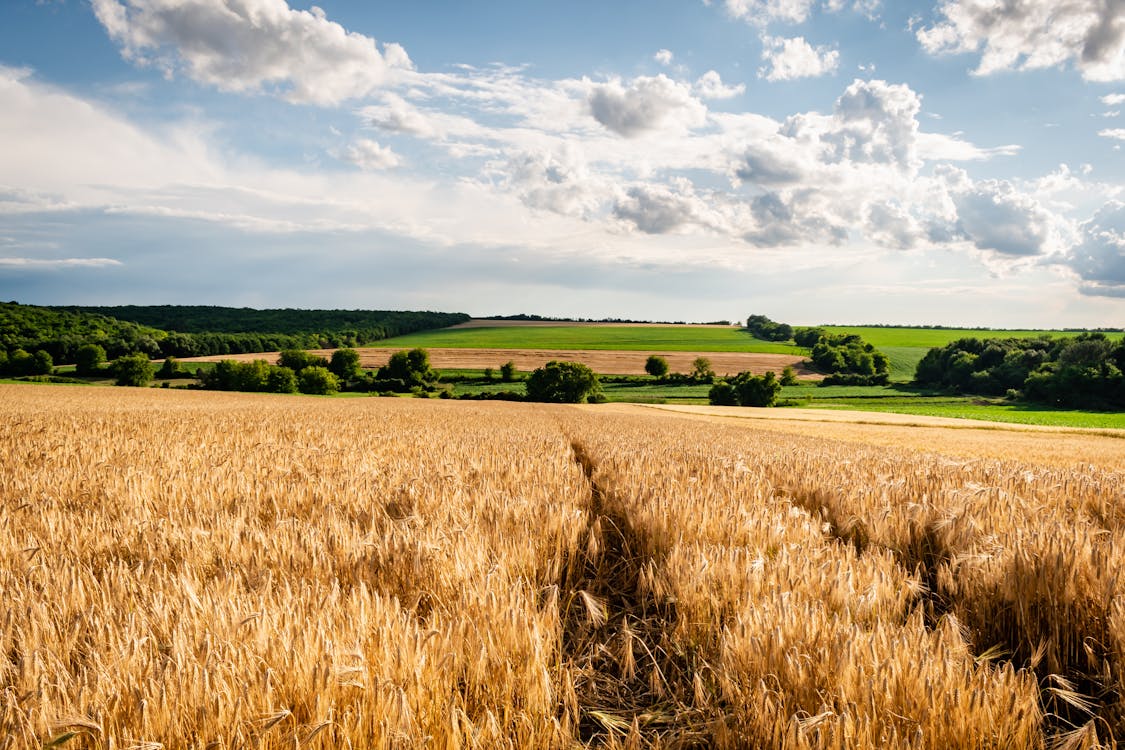 How Much Is One Acre